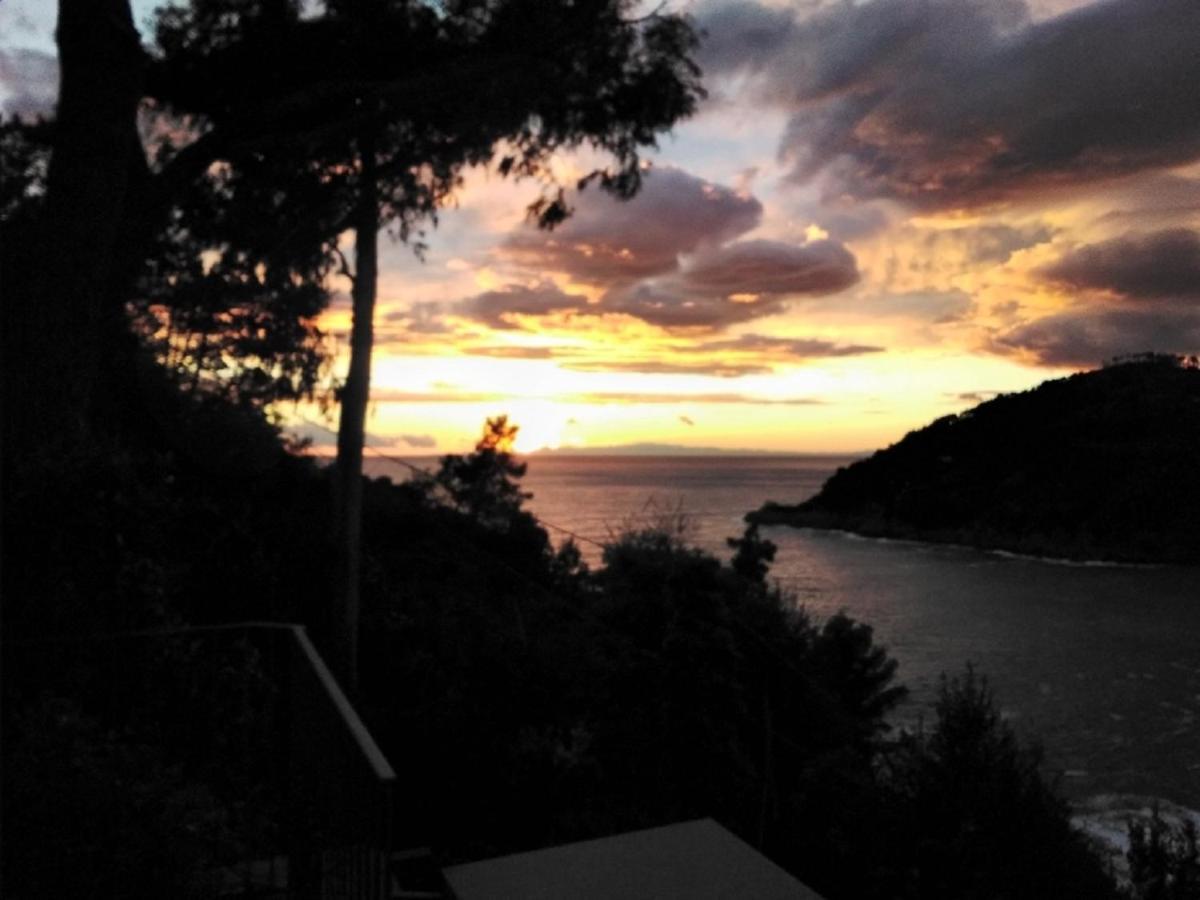 Villa Mimosa Splendida Vista Mare Bonassola Eksteriør bilde