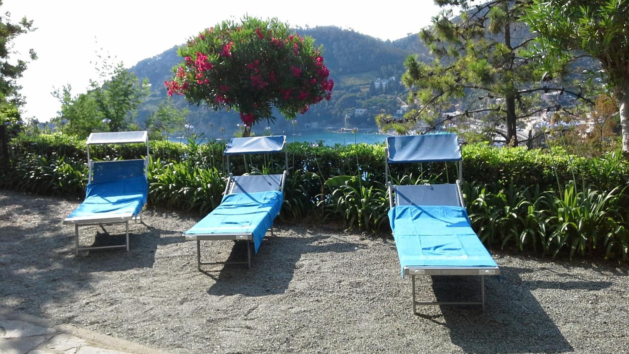 Villa Mimosa Splendida Vista Mare Bonassola Eksteriør bilde