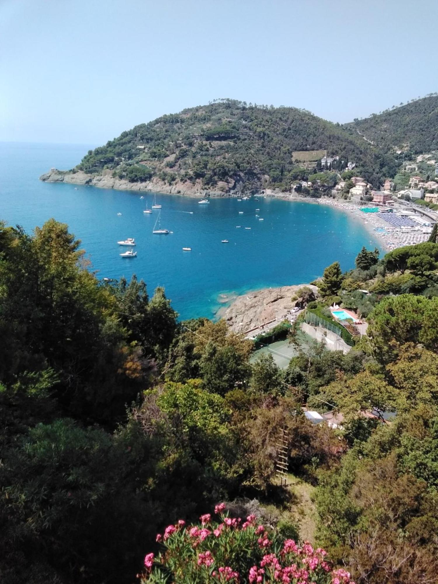 Villa Mimosa Splendida Vista Mare Bonassola Eksteriør bilde