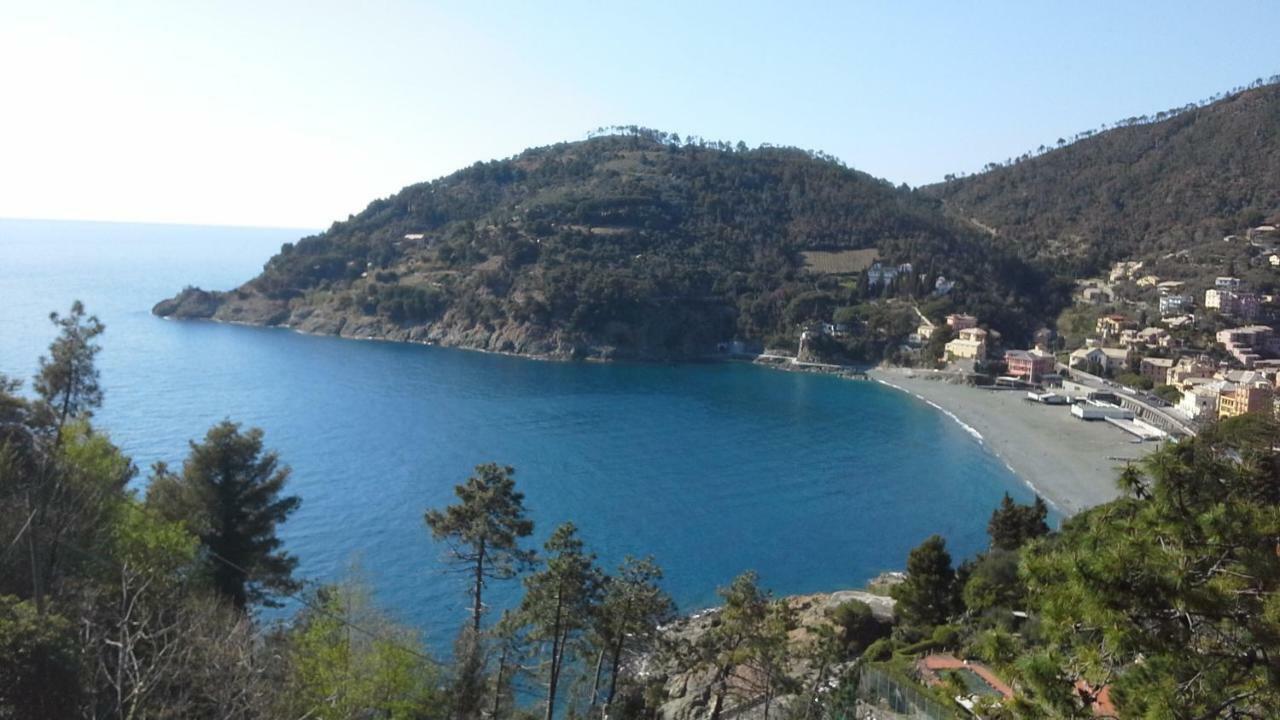 Villa Mimosa Splendida Vista Mare Bonassola Eksteriør bilde